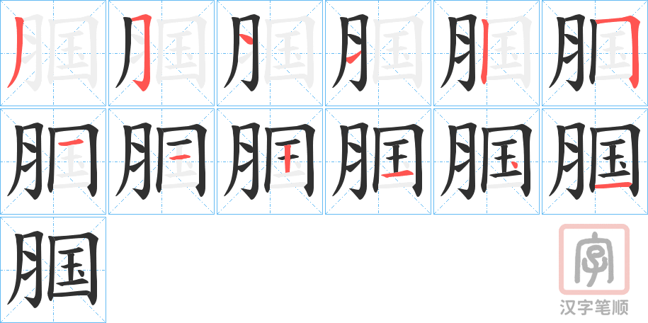 《腘》的笔顺分步演示（一笔一画写字）