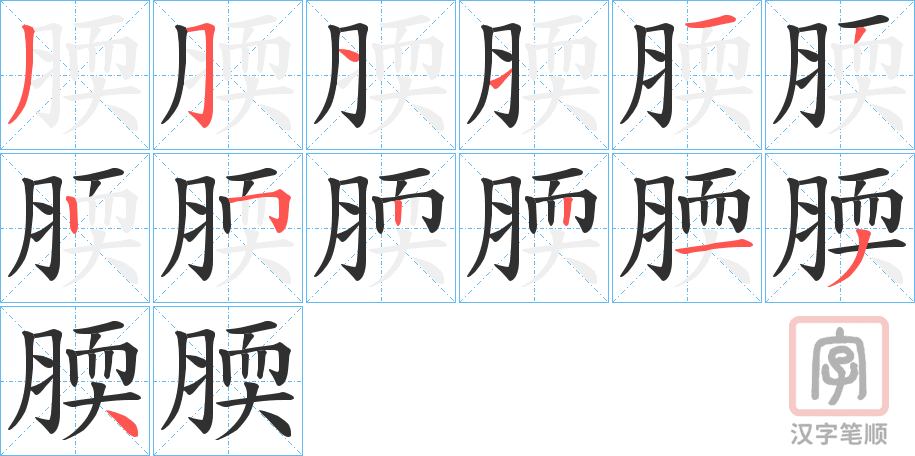 《腝》的笔顺分步演示（一笔一画写字）
