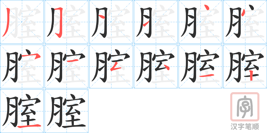 《腟》的笔顺分步演示（一笔一画写字）