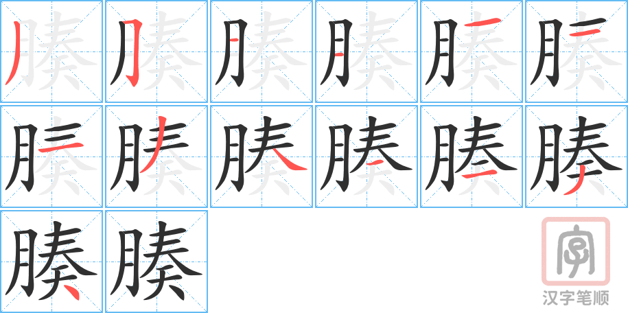 《腠》的笔顺分步演示（一笔一画写字）