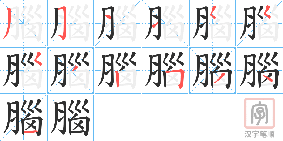 《腦》的笔顺分步演示（一笔一画写字）