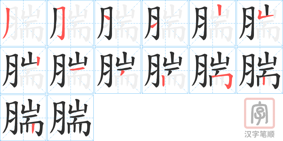 《腨》的笔顺分步演示（一笔一画写字）
