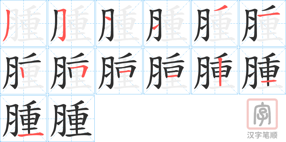 《腫》的笔顺分步演示（一笔一画写字）
