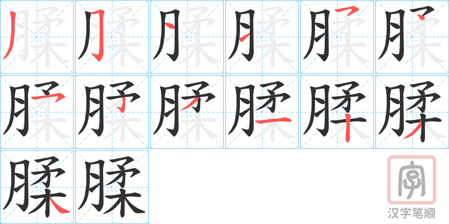 《腬》的笔顺分步演示（一笔一画写字）