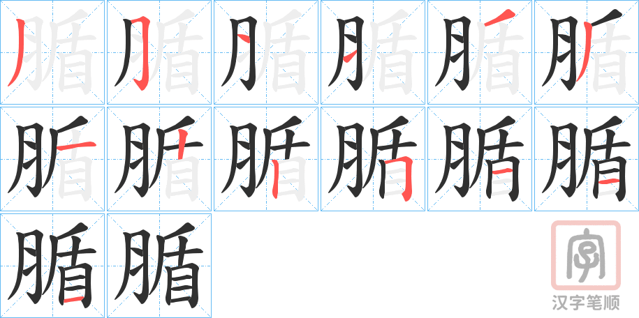 《腯》的笔顺分步演示（一笔一画写字）