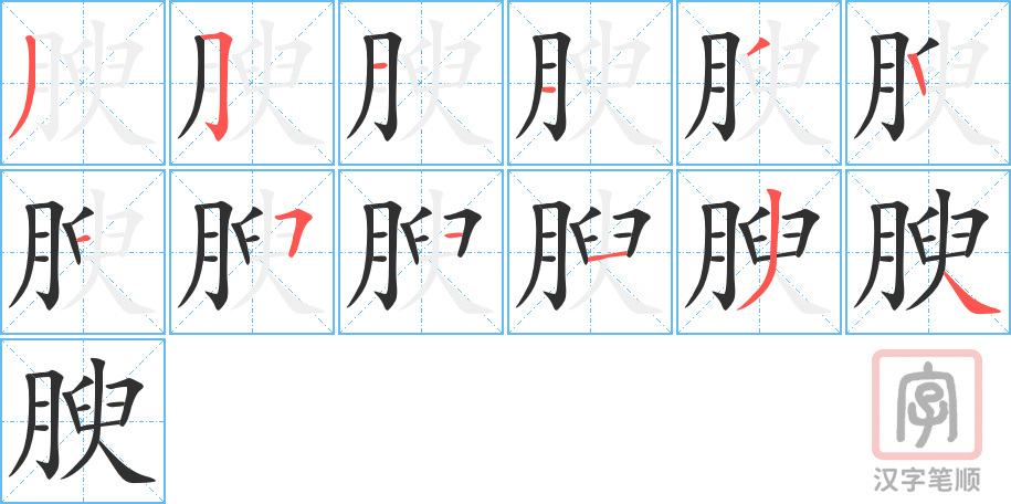 《腴》的笔顺分步演示（一笔一画写字）