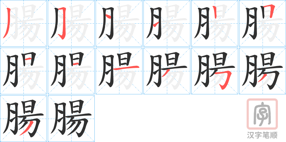 《腸》的笔顺分步演示（一笔一画写字）