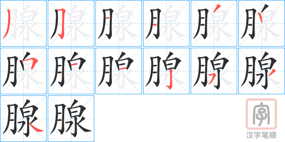 《腺》的笔顺分步演示（一笔一画写字）