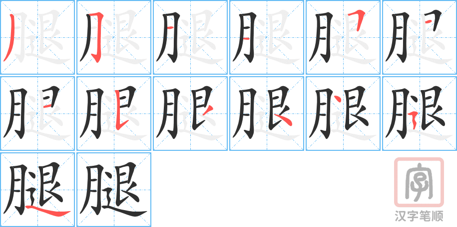 《腿》的笔顺分步演示（一笔一画写字）