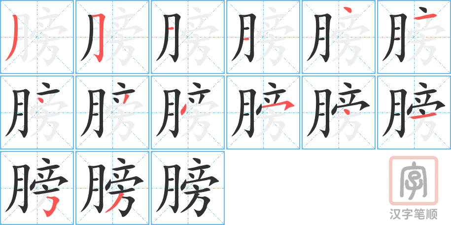 《膀》的笔顺分步演示（一笔一画写字）