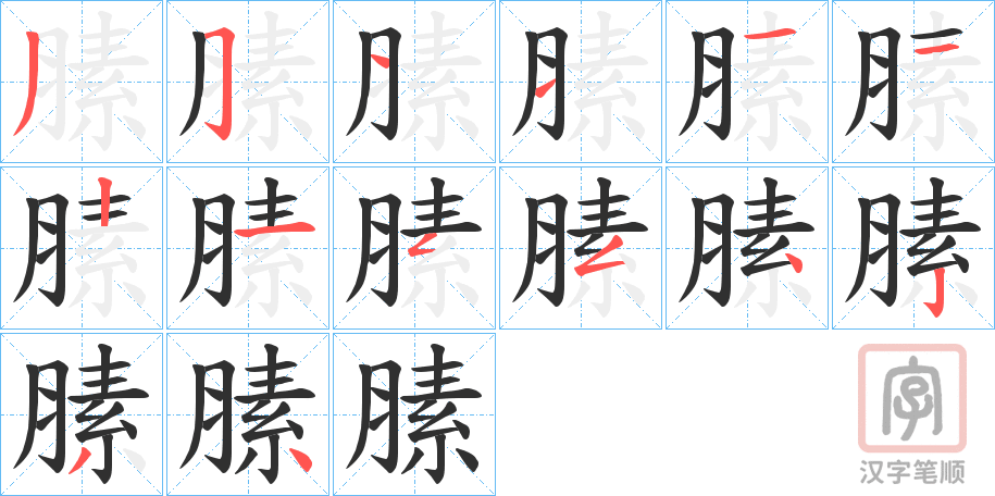 《膆》的笔顺分步演示（一笔一画写字）