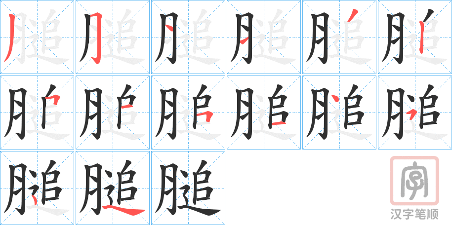 《膇》的笔顺分步演示（一笔一画写字）