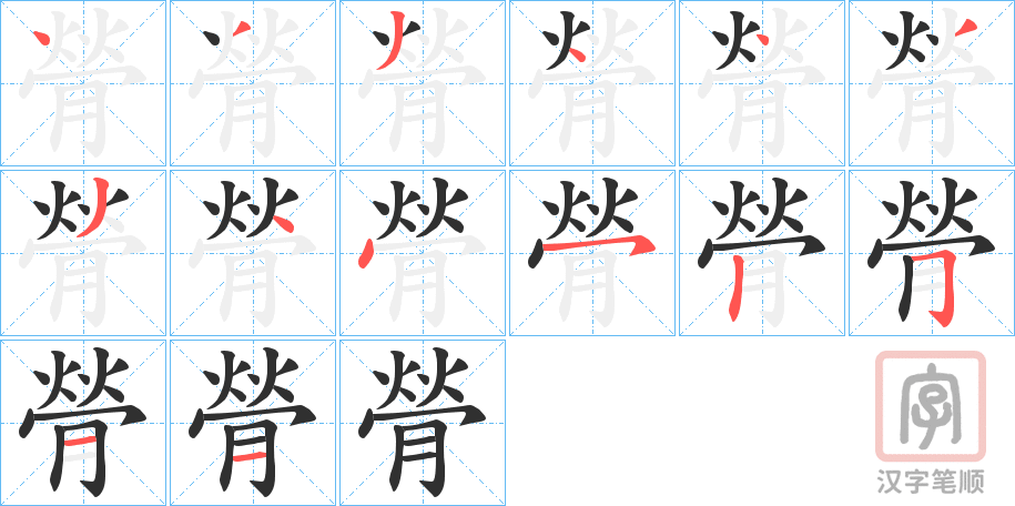 《膋》的笔顺分步演示（一笔一画写字）