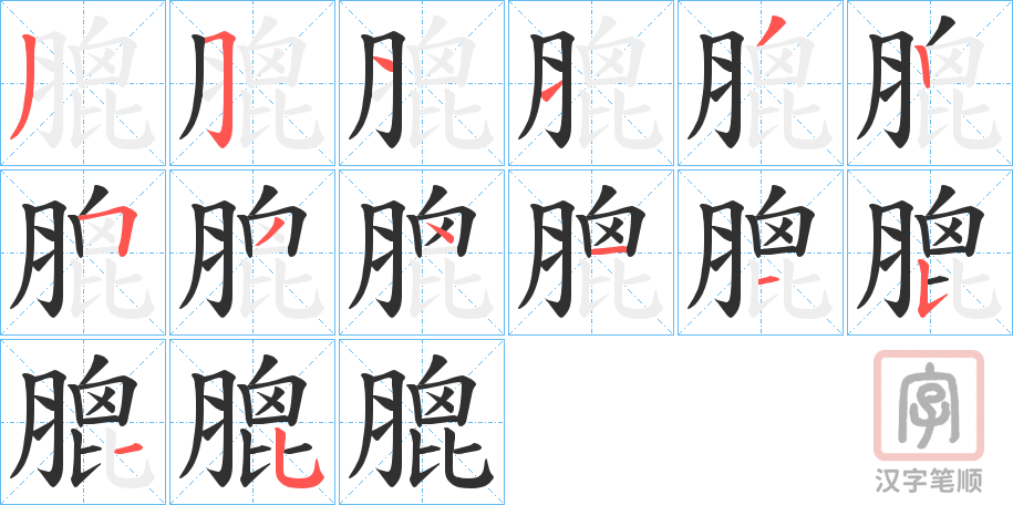 《膍》的笔顺分步演示（一笔一画写字）