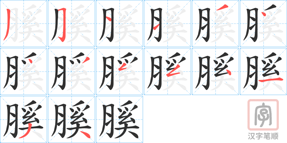 《膎》的笔顺分步演示（一笔一画写字）
