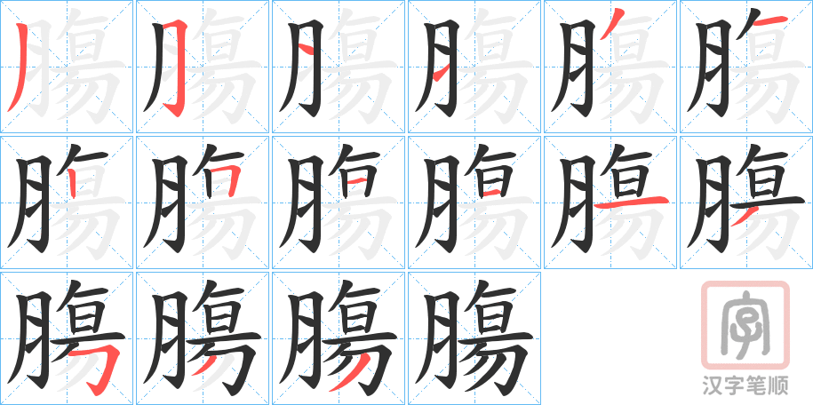 《膓》的笔顺分步演示（一笔一画写字）