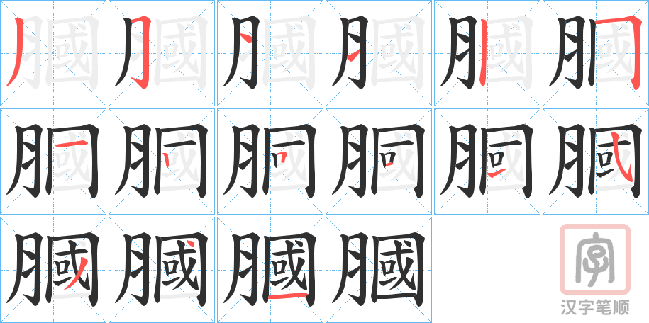 《膕》的笔顺分步演示（一笔一画写字）
