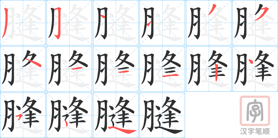 《膖》的笔顺分步演示（一笔一画写字）