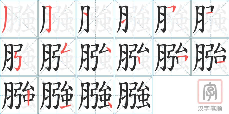 《膙》的笔顺分步演示（一笔一画写字）