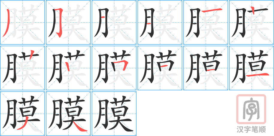 《膜》的笔顺分步演示（一笔一画写字）