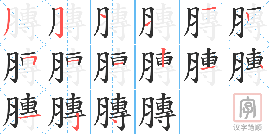《膞》的笔顺分步演示（一笔一画写字）