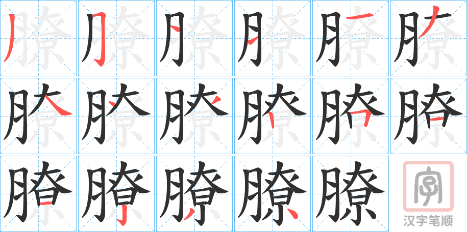 《膫》的笔顺分步演示（一笔一画写字）