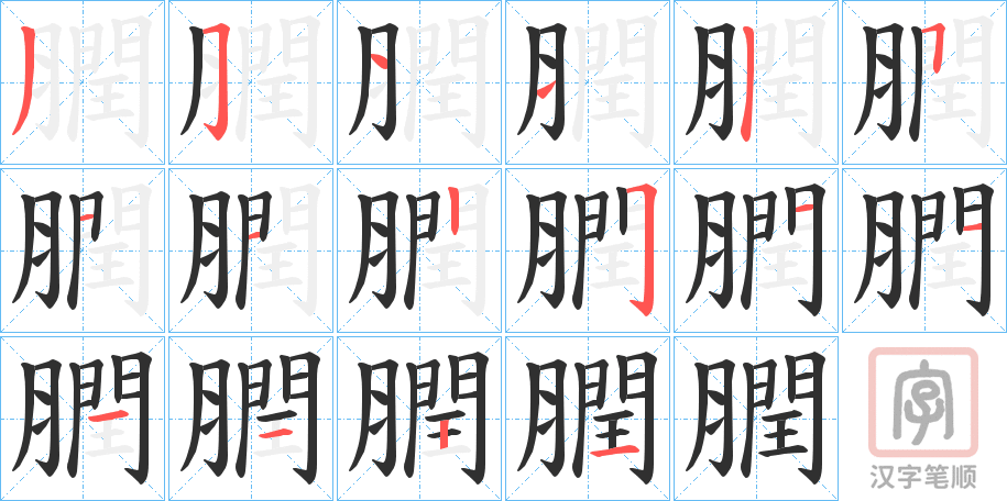 《膶》的笔顺分步演示（一笔一画写字）