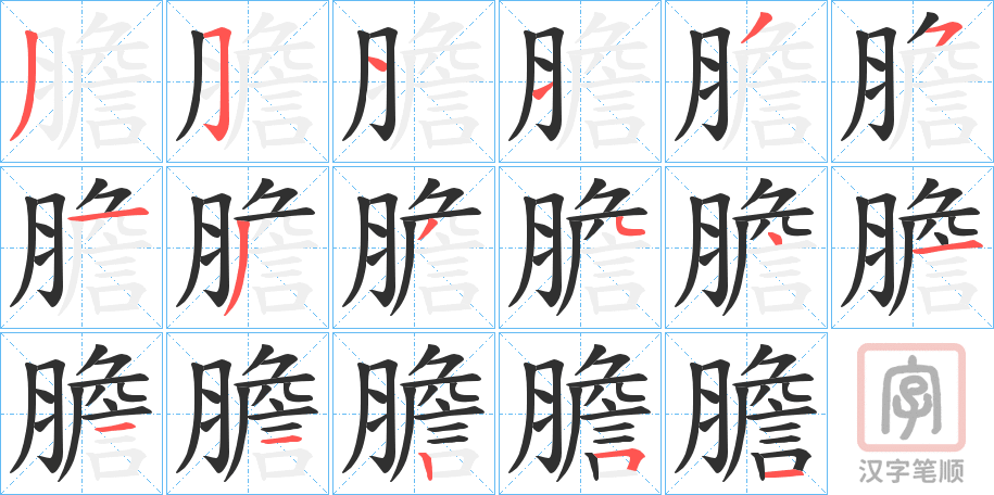 《膽》的笔顺分步演示（一笔一画写字）
