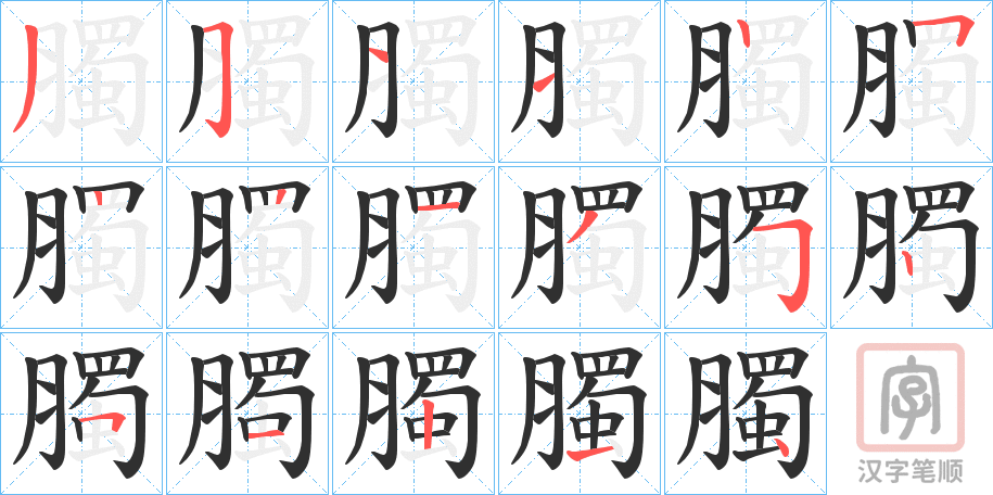 《臅》的笔顺分步演示（一笔一画写字）