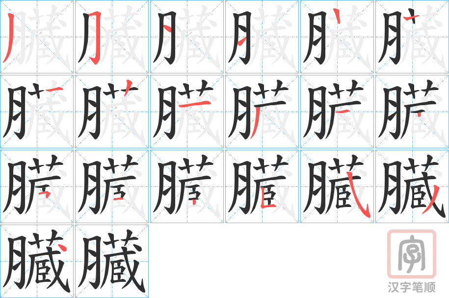 《臓》的笔顺分步演示（一笔一画写字）