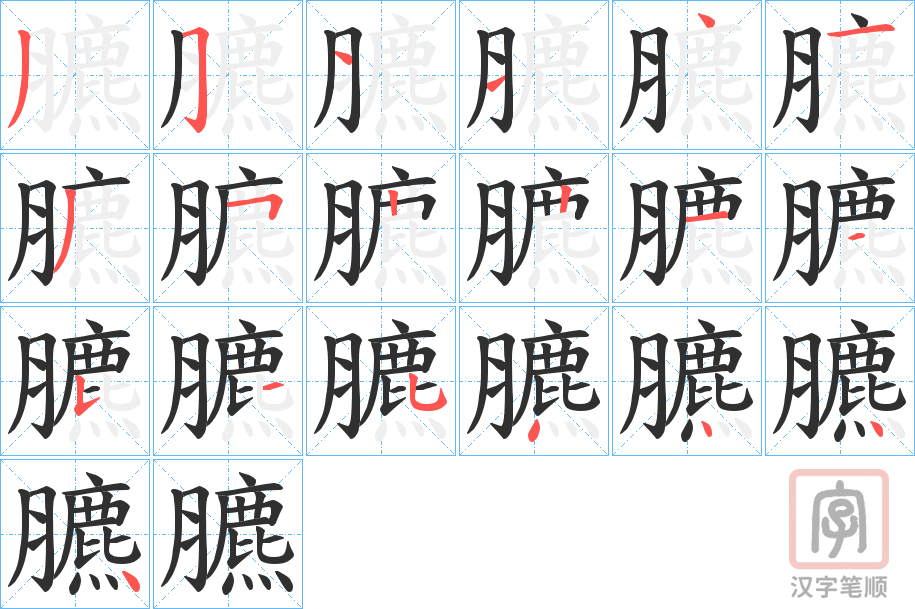 《臕》的笔顺分步演示（一笔一画写字）