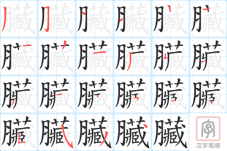 《臟》的笔顺分步演示（一笔一画写字）