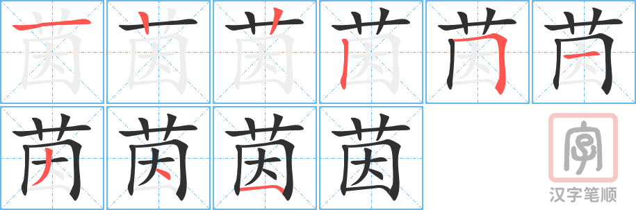 《茵》的笔顺分步演示（一笔一画写字）