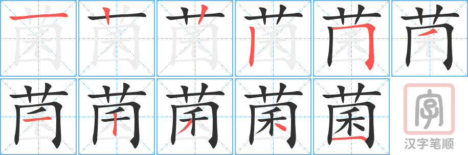 《菌》的笔顺分步演示（一笔一画写字）