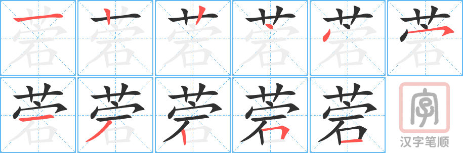 《菪》的笔顺分步演示（一笔一画写字）