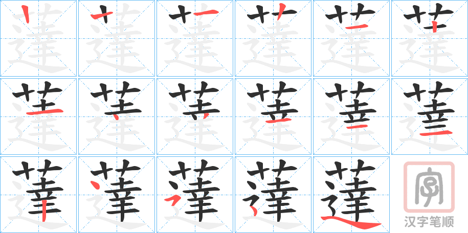 《薘》的笔顺分步演示（一笔一画写字）