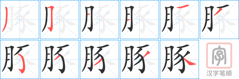 《豚》的笔顺分步演示（一笔一画写字）