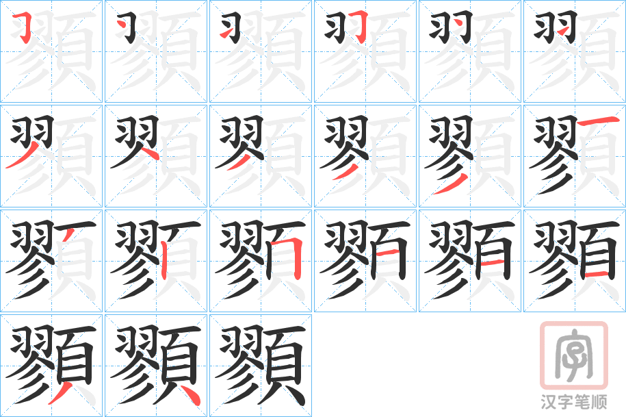 《顟》的笔顺分步演示（一笔一画写字）