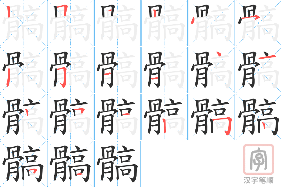 《髇》的笔顺分步演示（一笔一画写字）