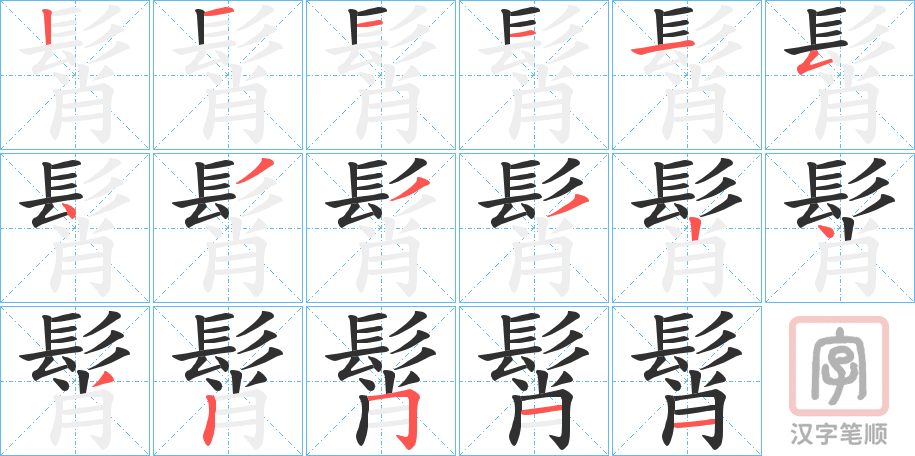 《髾》的笔顺分步演示（一笔一画写字）