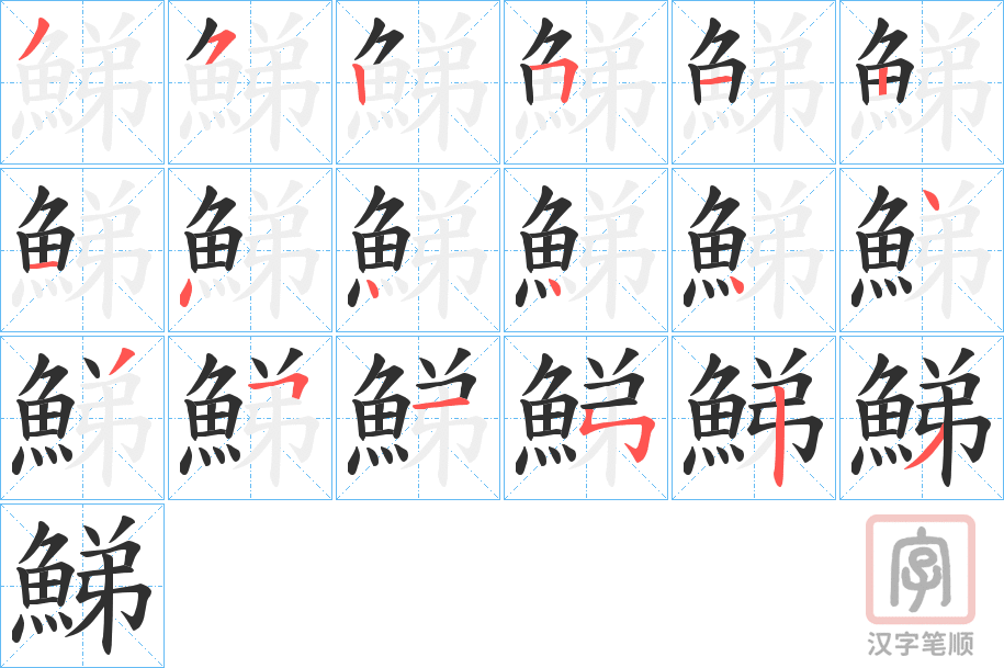 《鮷》的笔顺分步演示（一笔一画写字）