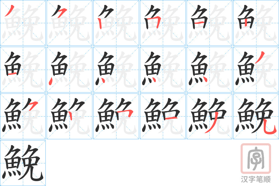 《鮸》的笔顺分步演示（一笔一画写字）