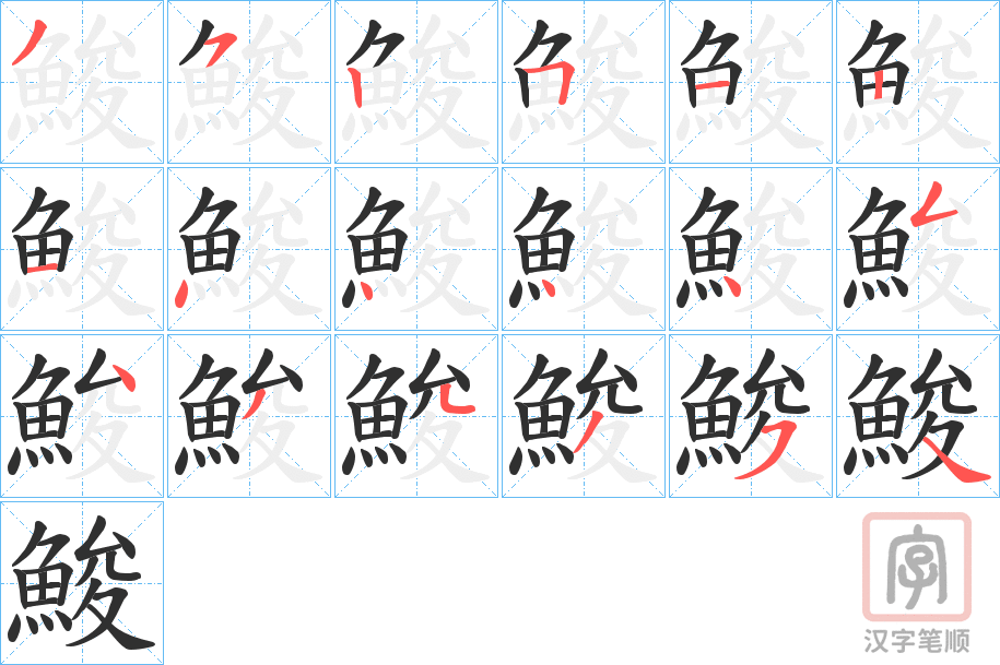 《鮻》的笔顺分步演示（一笔一画写字）