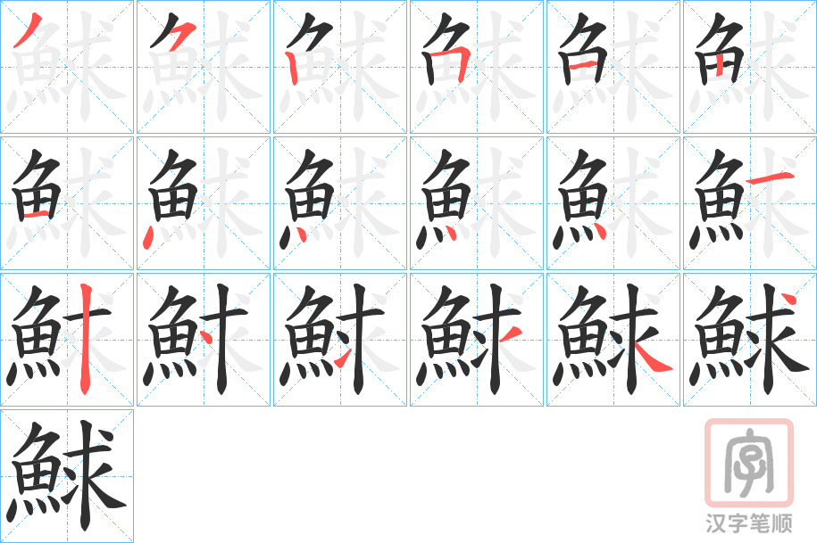 《鯄》的笔顺分步演示（一笔一画写字）