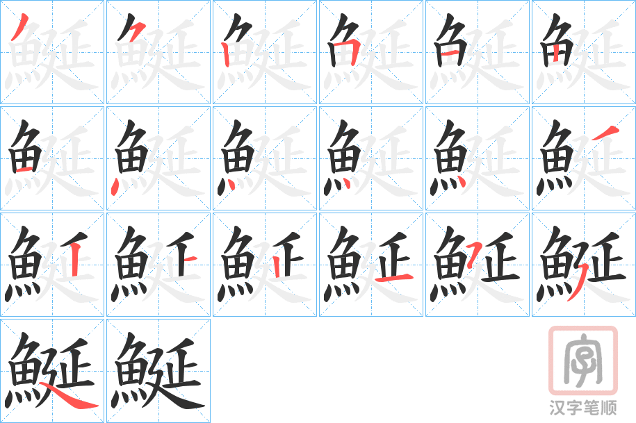 《鯅》的笔顺分步演示（一笔一画写字）