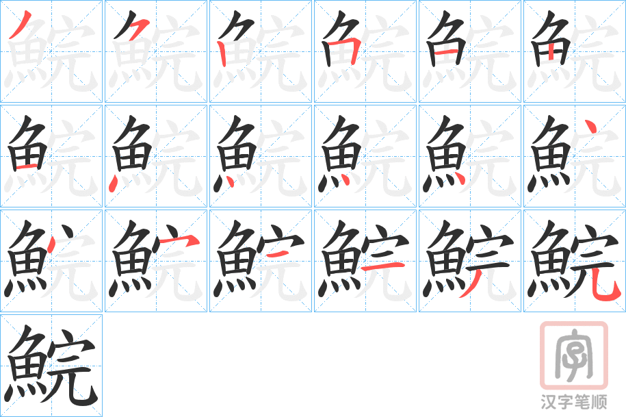 《鯇》的笔顺分步演示（一笔一画写字）