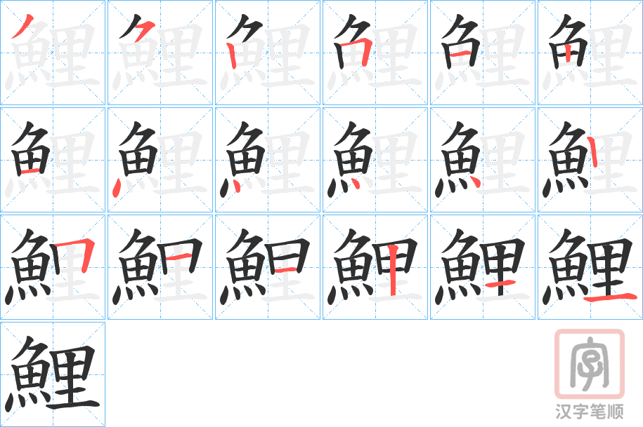 《鯉》的笔顺分步演示（一笔一画写字）
