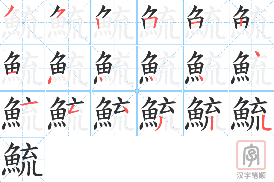 《鯍》的笔顺分步演示（一笔一画写字）