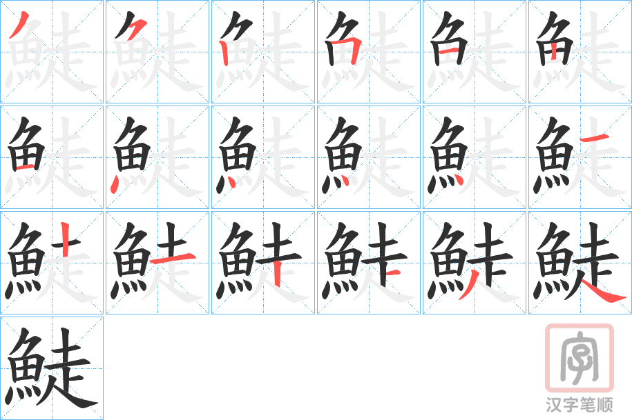 《鯐》的笔顺分步演示（一笔一画写字）