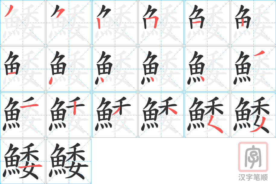 《鯘》的笔顺分步演示（一笔一画写字）